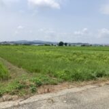 神奈川県平塚市岡崎｜農地（田んぼ）の販売